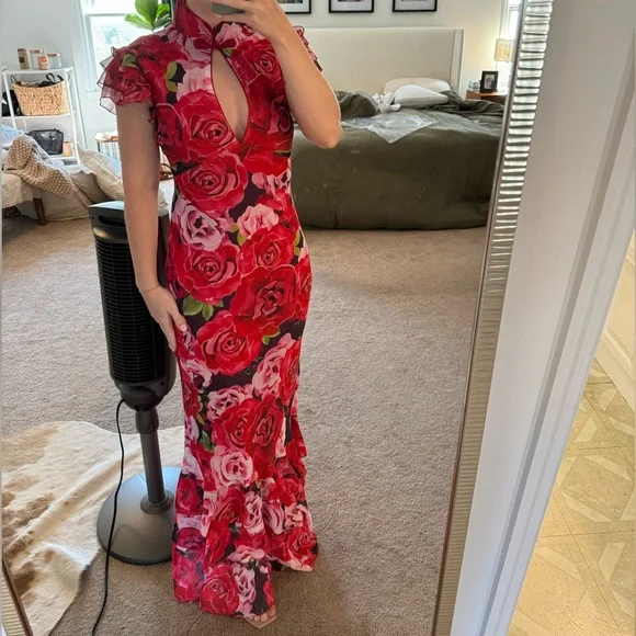 Sau Lee Dress - Picture 3 of 5